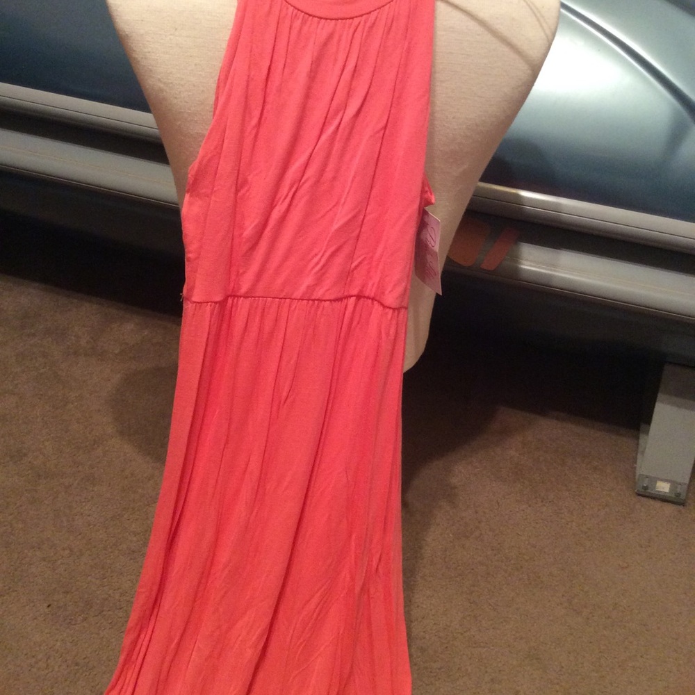 NWT Pink  Lilly small maxi dress
